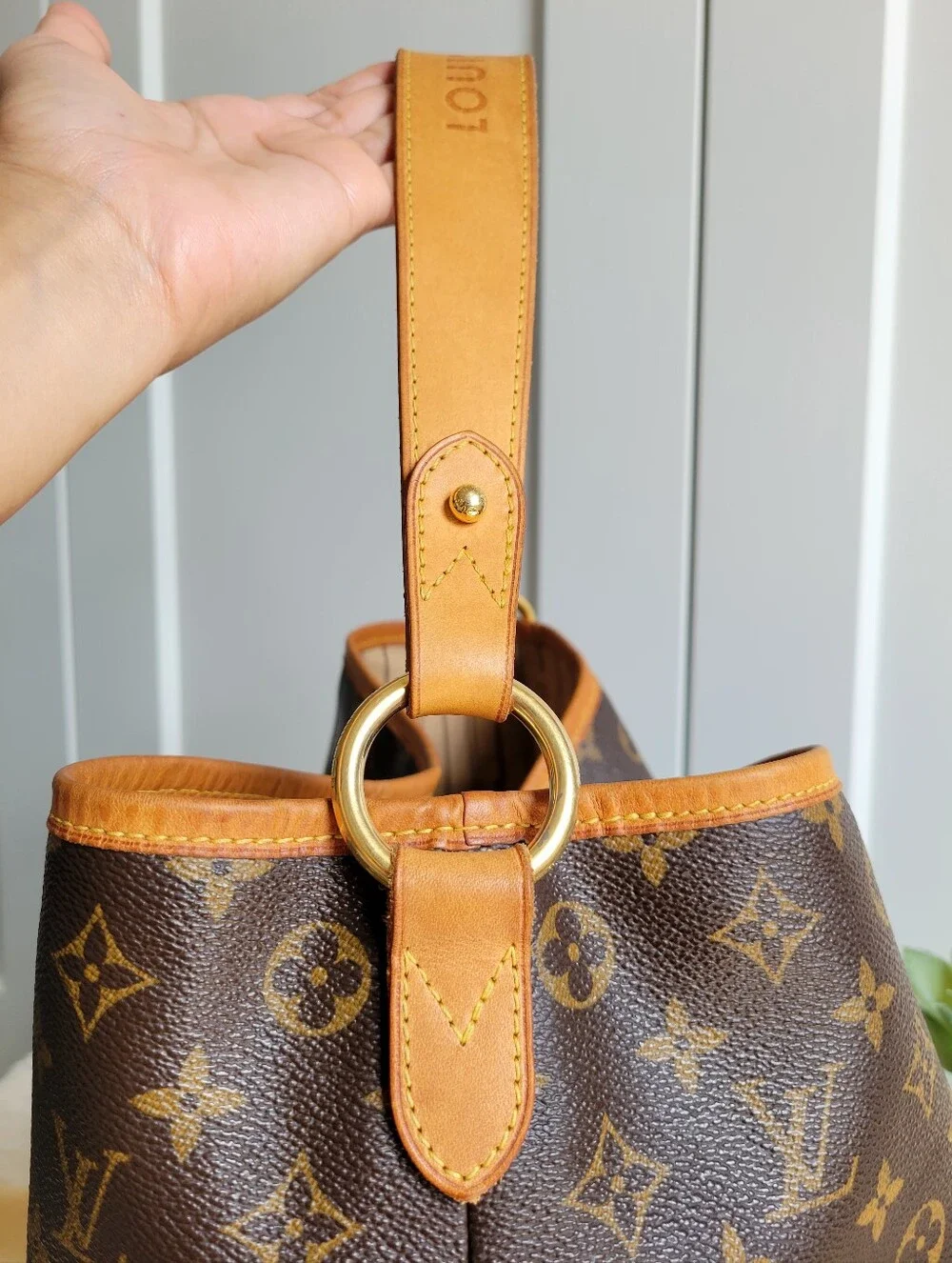 Louis Vuitton DELIGHTFUL PM Hobo Shoulder Bag Monogram